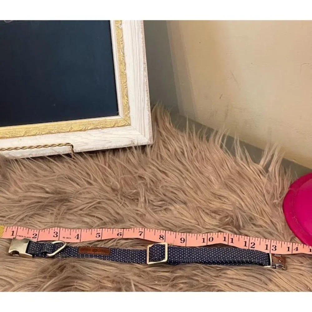 The lionet paws cat Collar